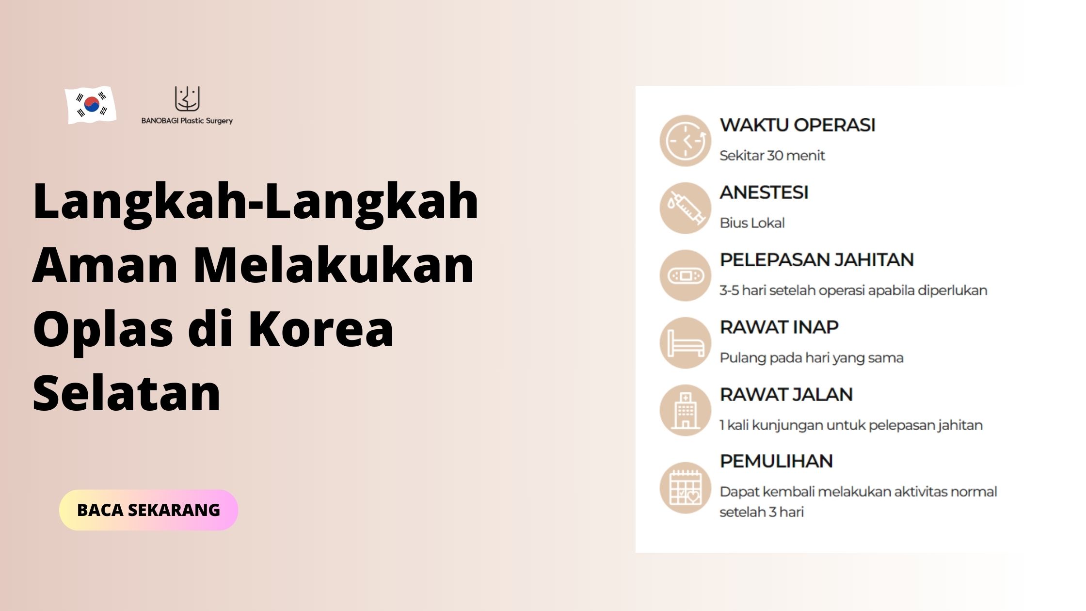 Oplas Di Korea Selatan