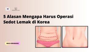 5 Alasan Mengapa Harus Operasi Sedot Lemak di Korea
