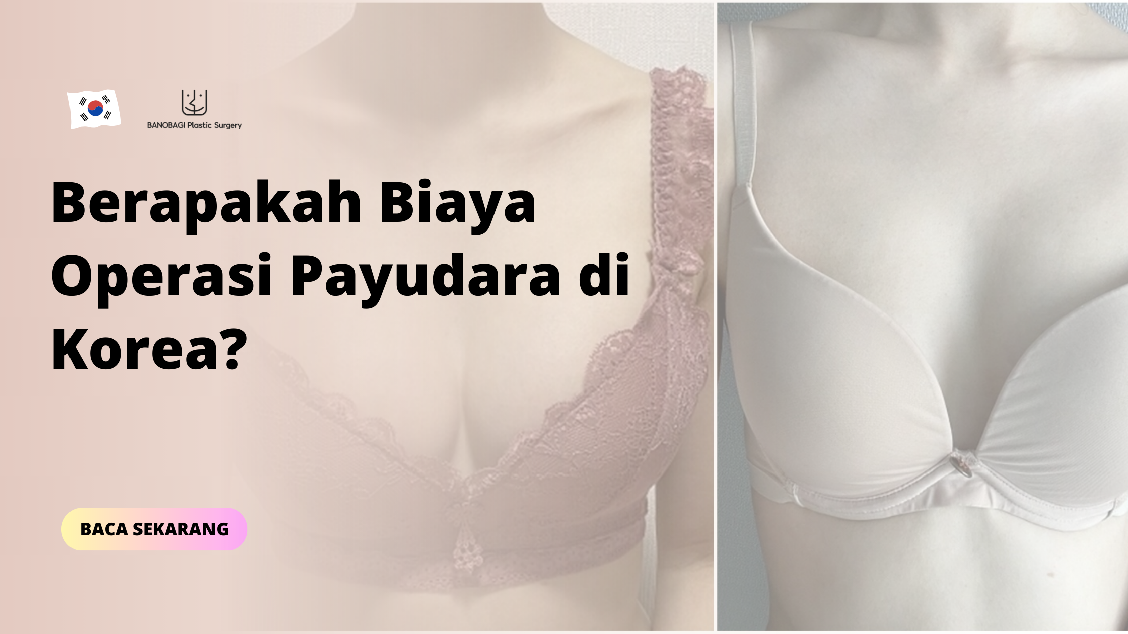 biaya operasi payudara Korea