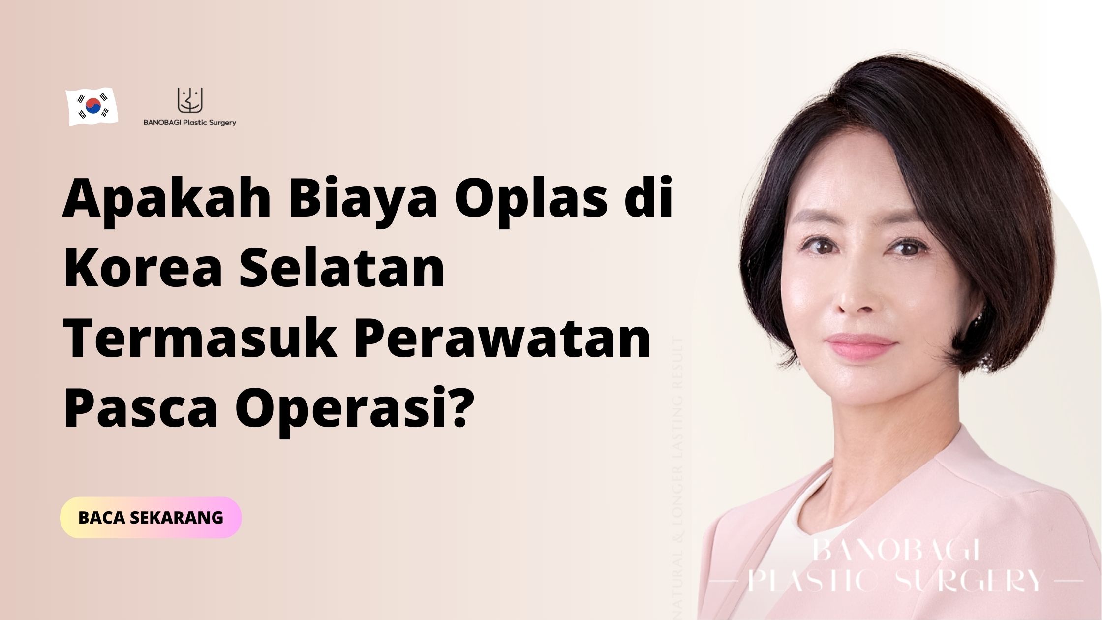 biaya oplas di korea selatan