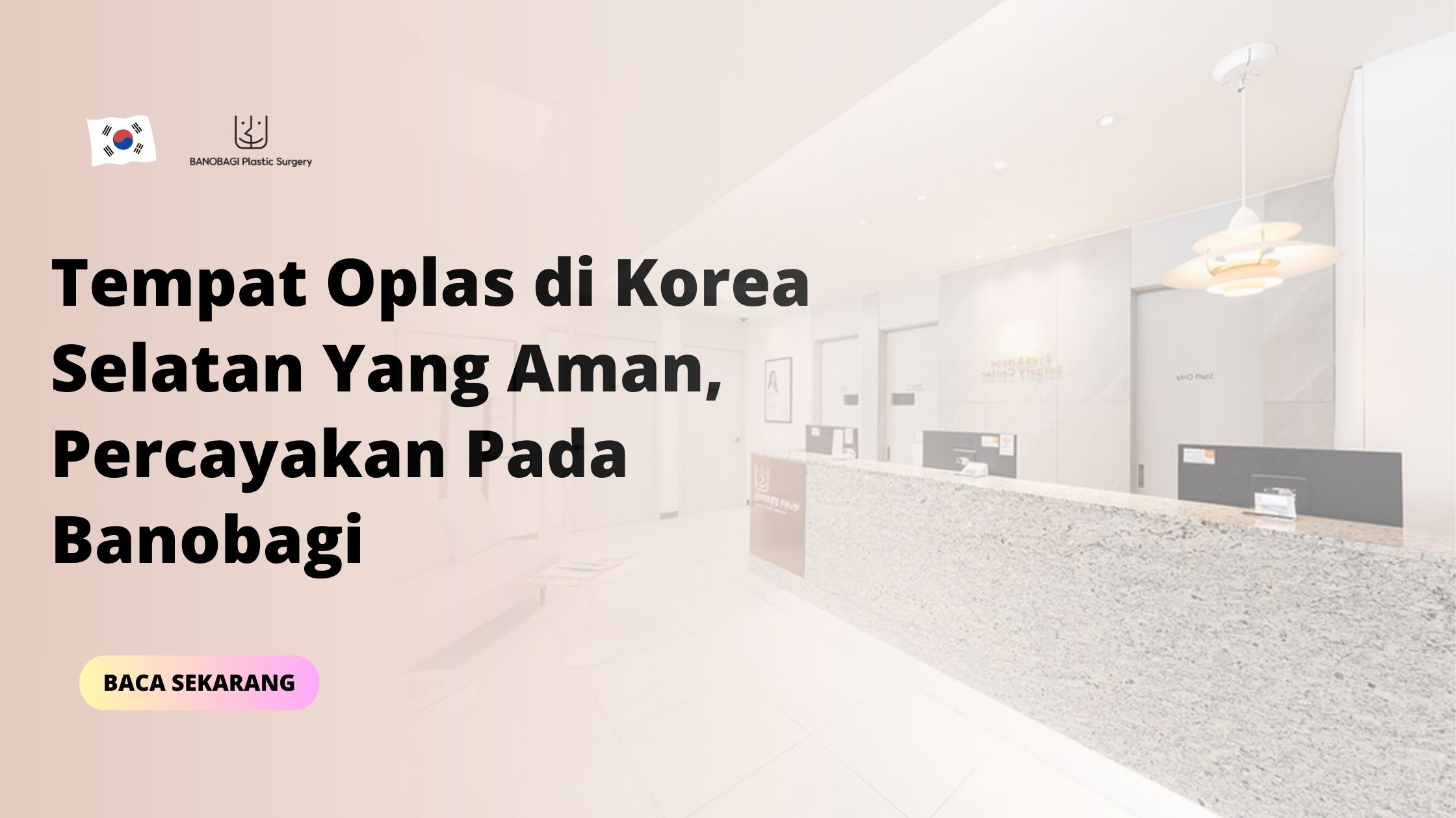 Tempat oplas di korea selatan