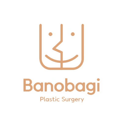 logo banobagi plastic surgery