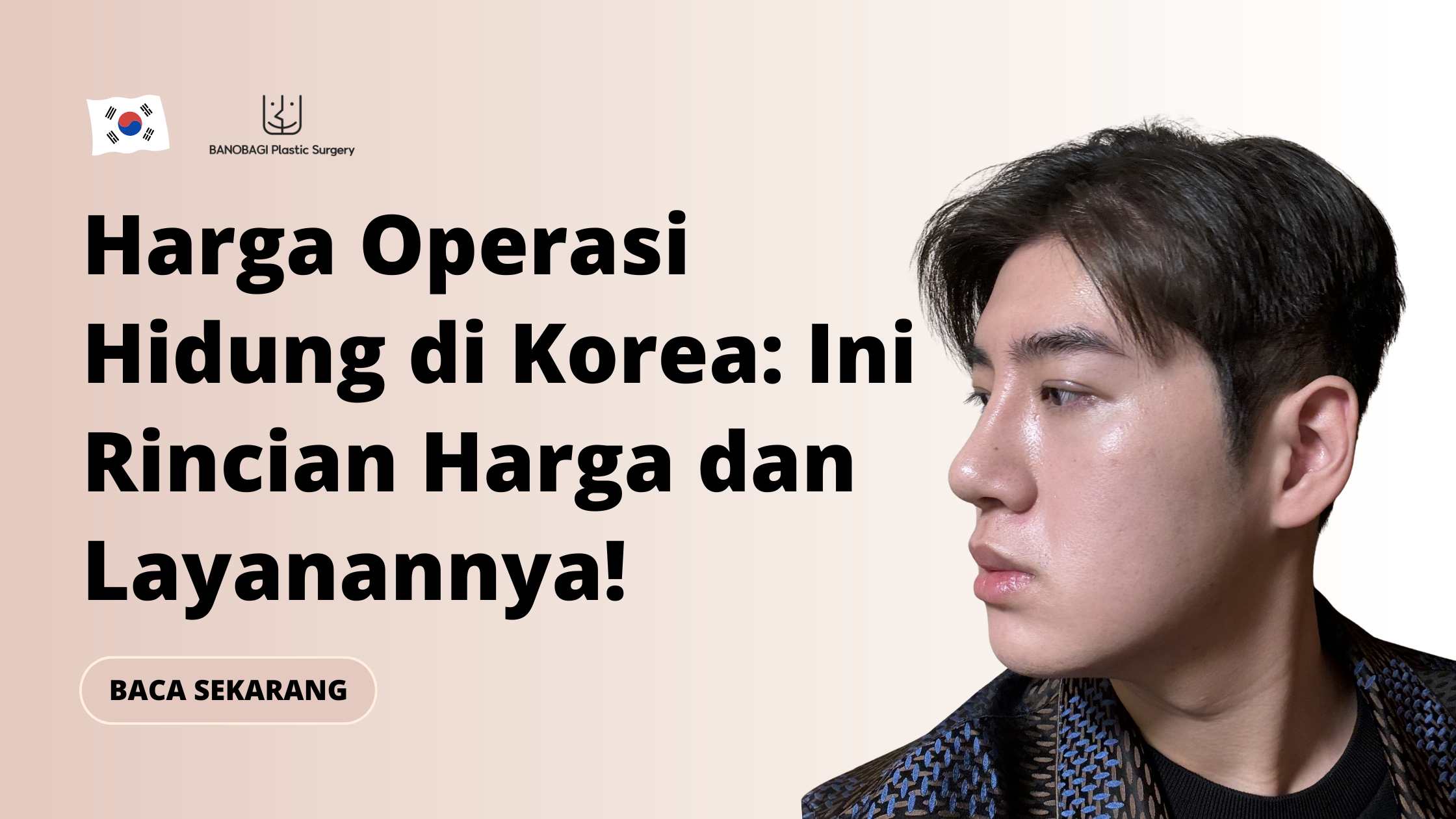 Harga Operasi Hidung Di Korea
