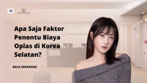 Apa Saja Faktor Penentu Biaya Oplas di Korea Selatan?