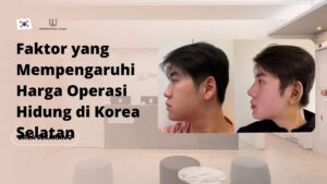 Faktor yang Mempengaruhi Harga Operasi Hidung di Korea Selatan